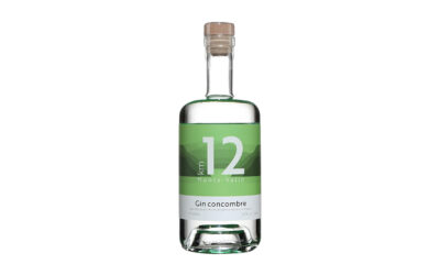 Gin au concombre KM 12
