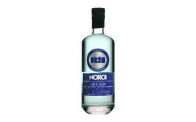 Dry gin au bleuets & mûres sauvages – NOROI